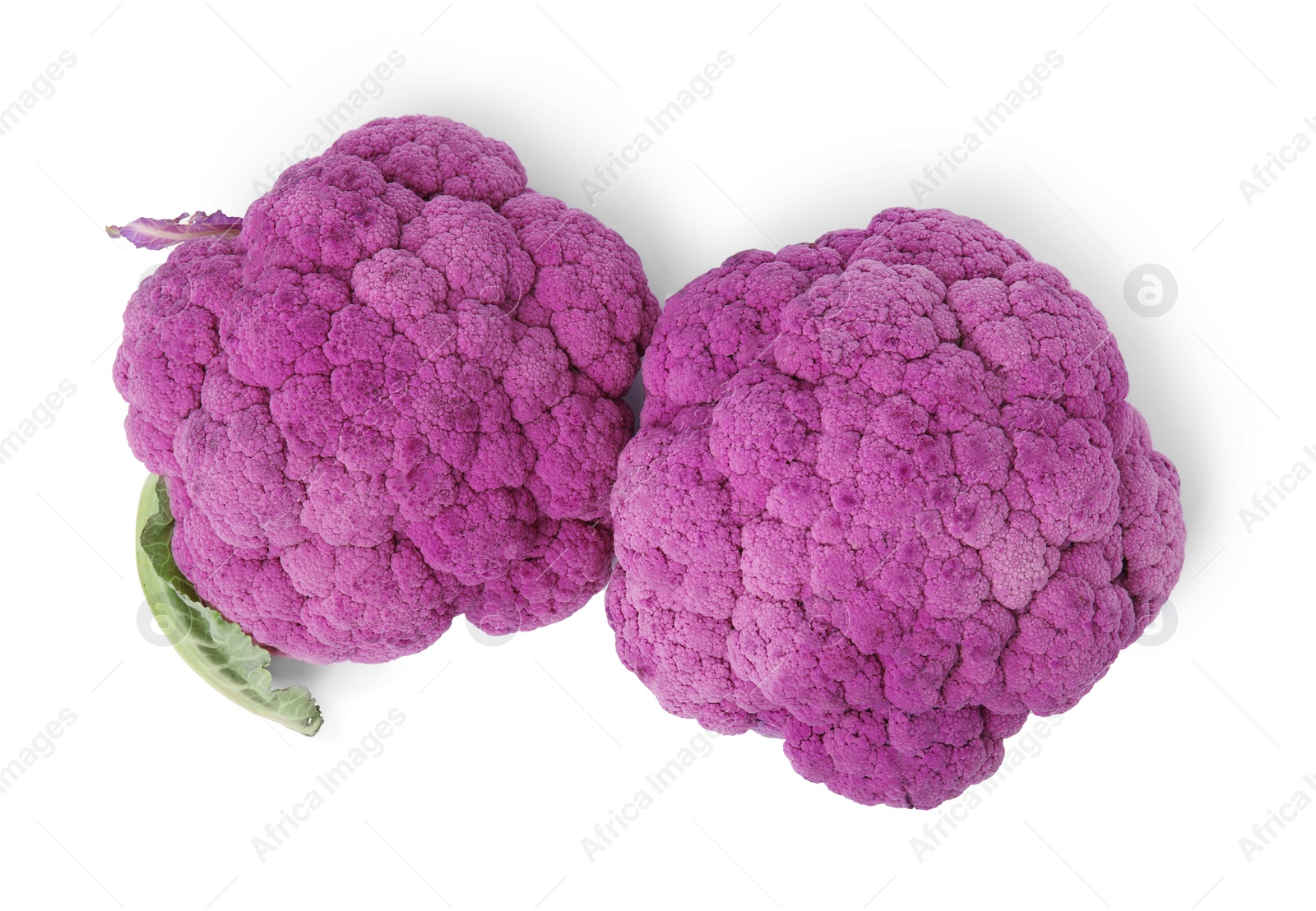 Photo of Fresh purple cauliflowers on white background, top view