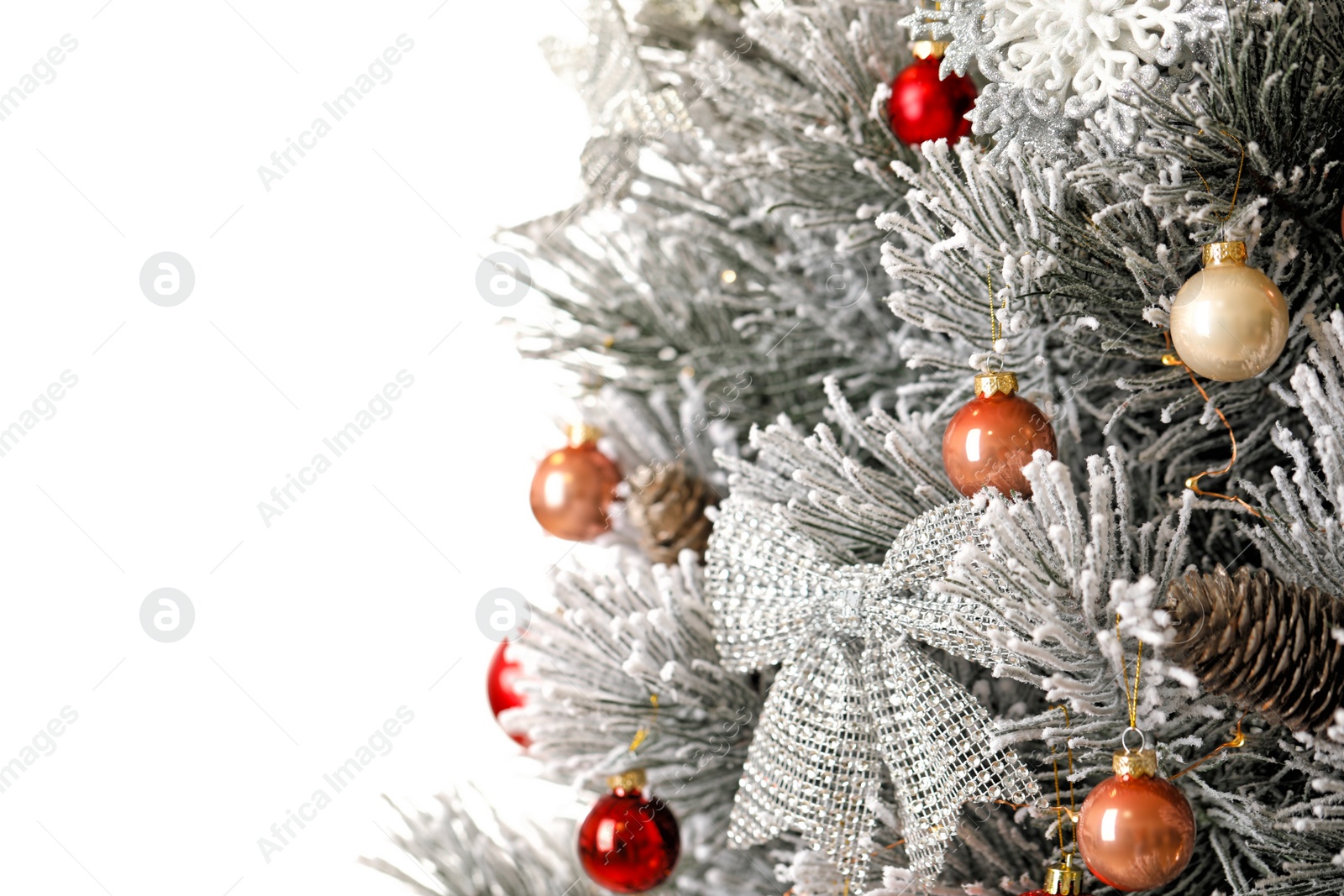 Photo of Beautiful Christmas tree with festive decor on white background