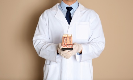 Photo of Male dentist holding teeth model on color background, closeup