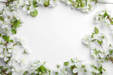 Frame made of beautiful fresh spring flowers on white background, top view. Space for text