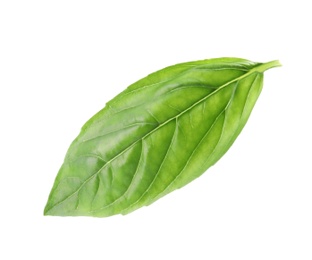 Photo of Leaf of fresh green basil on white background