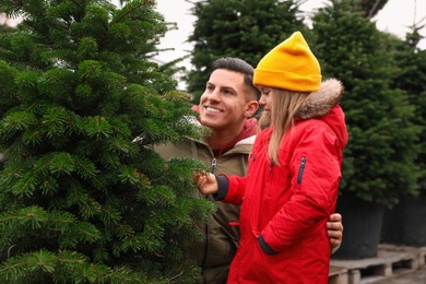 Photo of Father and daughter choosing plants at Christmas tree farm