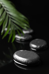 Photo of Composition with wet spa stones and green leaf on black background. Space for text