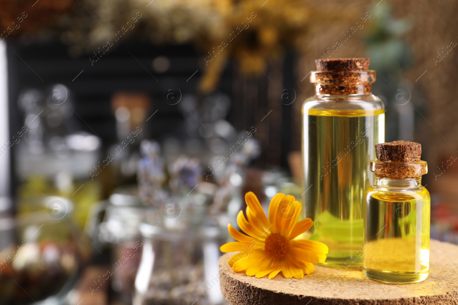 Photo of Bottles with herbal essential oil and calendula flower on blurred background. Space for text