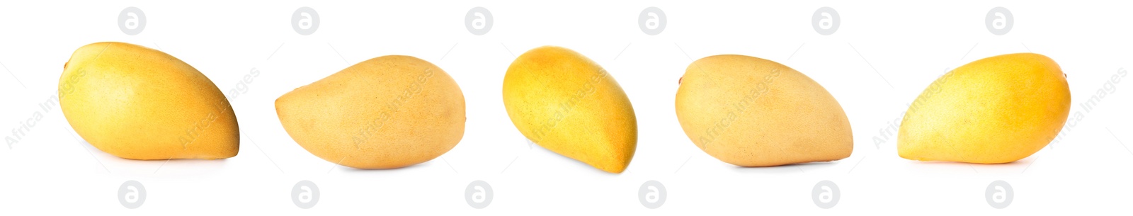 Image of Set of delicious mangoes on white background. Banner design