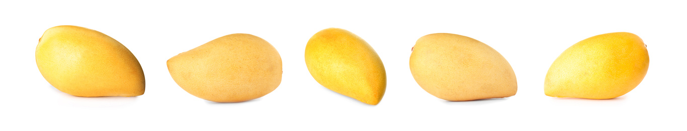 Set of delicious mangoes on white background. Banner design