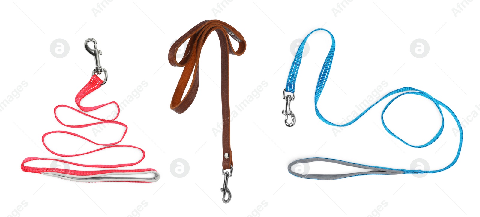 Image of Different pet leashes on white background, collage design