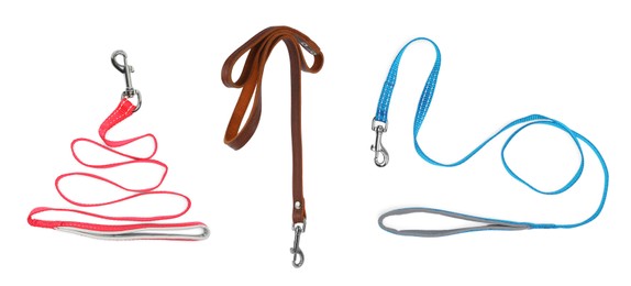 Different pet leashes on white background, collage design