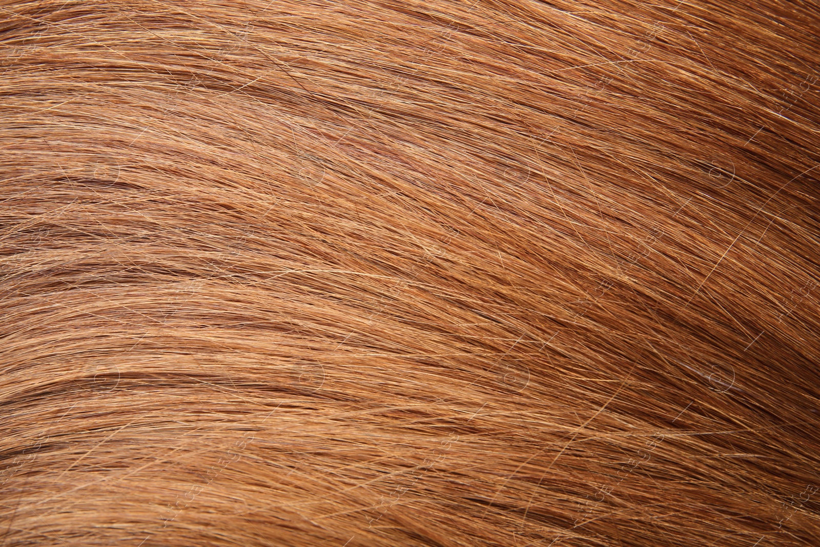 Photo of Texture of healthy red hair as background, closeup