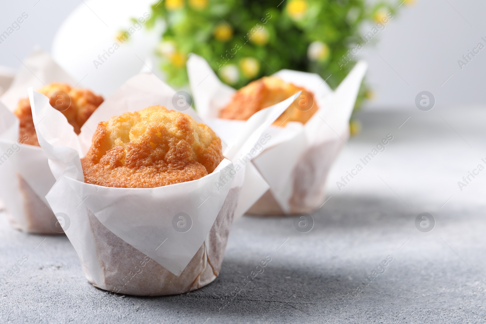 Photo of Delicious sweet muffins on light grey textured table, closeup. Space for text