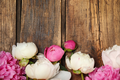 Beautiful peonies on wooden background, flat lay. Space for text