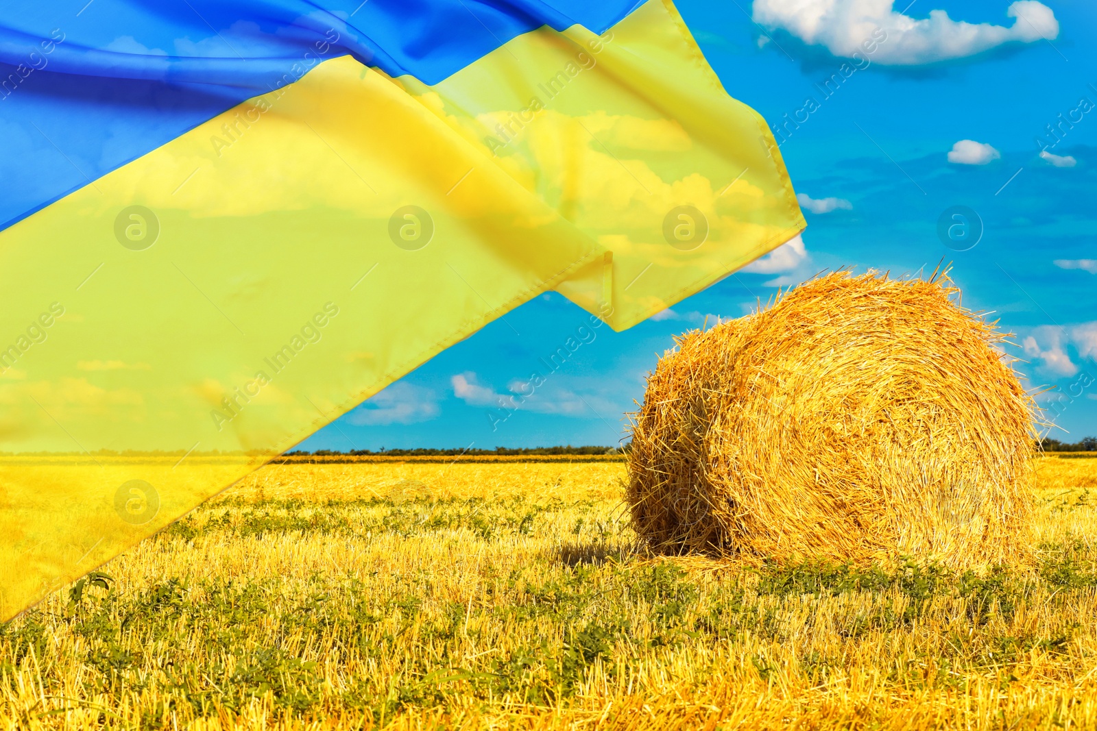 Image of Double exposure of Ukrainian flag and hayloft in yellow field under blue sky