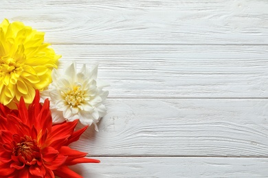 Photo of Flat lay composition with beautiful dahlia flowers and space for text on wooden background