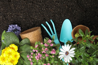 Photo of Flat lay composition with gardening equipment and flowers on soil