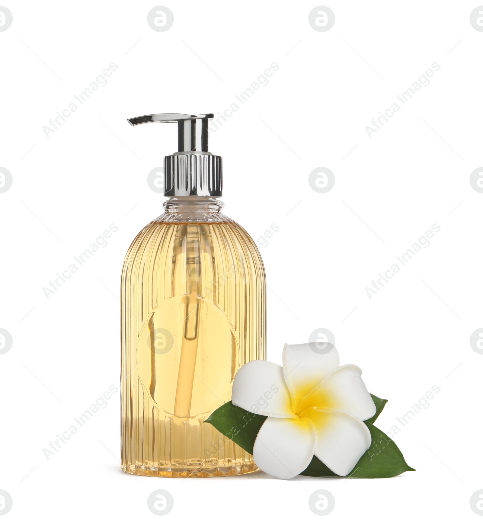 Photo of Stylish dispenser with liquid soap and flower on white background