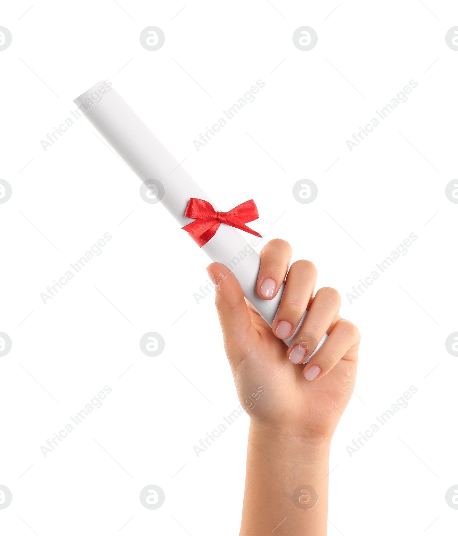 Photo of Student holding rolled diploma with red ribbon on white background, closeup