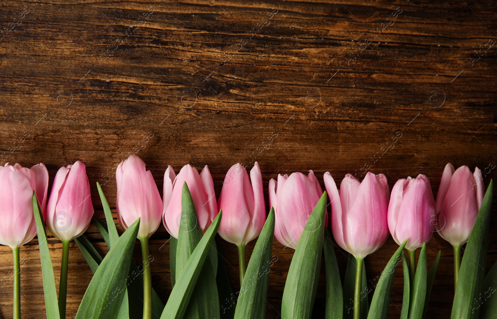 Photo of Beautiful pink spring tulips on wooden background, flat lay. Space for text