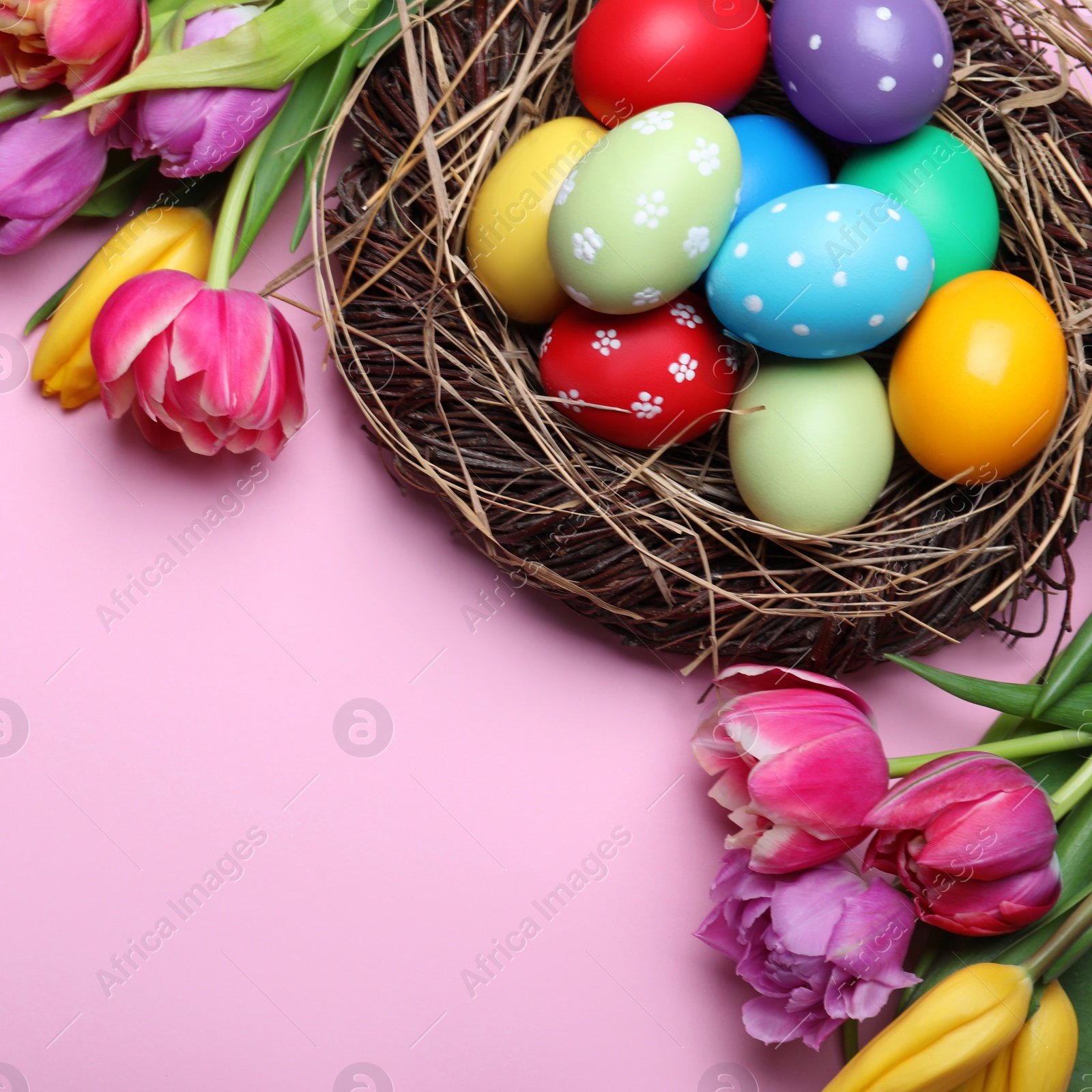 Photo of Bright painted eggs and spring tulips on pink background, flat lay with space for text. Happy Easter