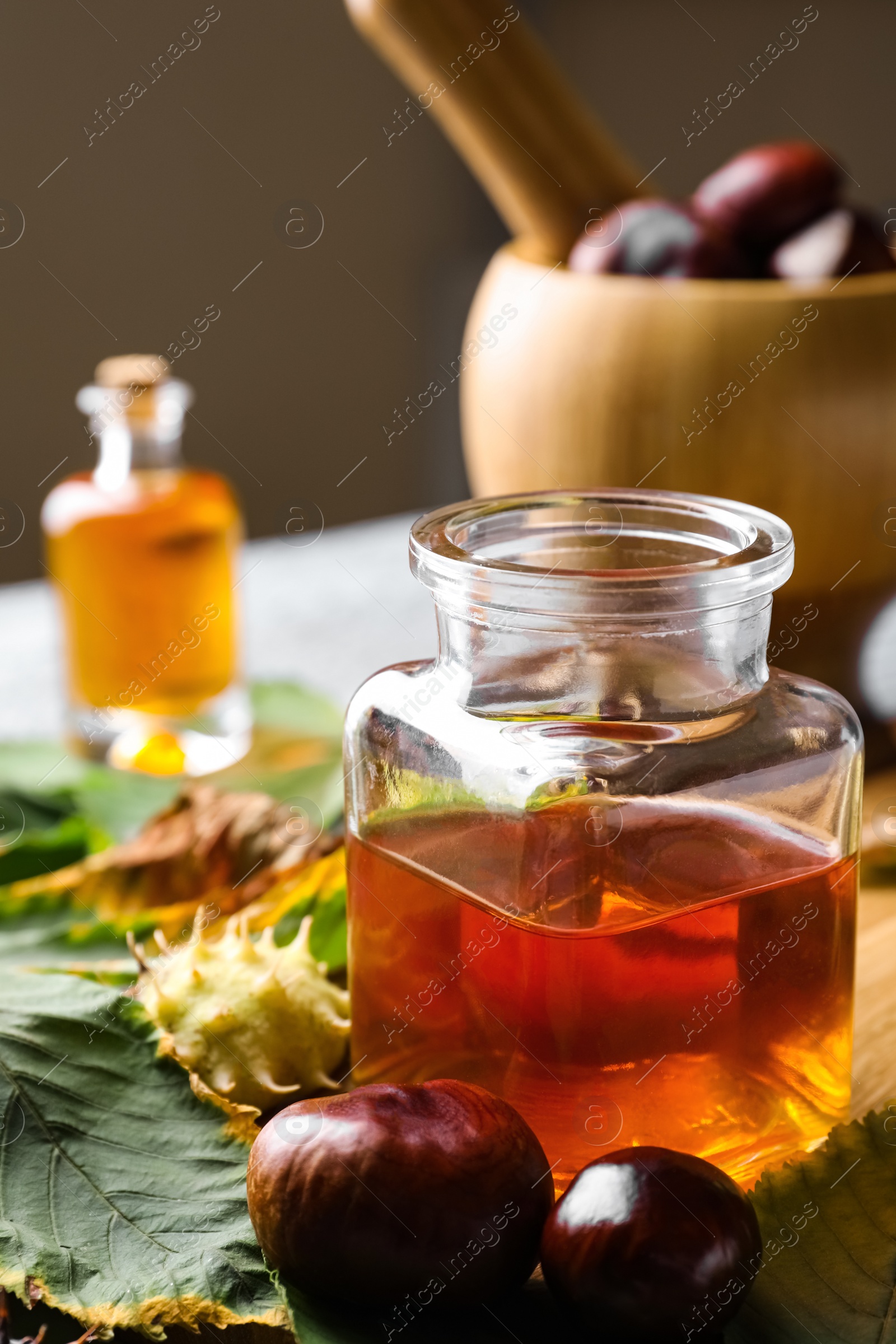 Photo of Fresh horse chestnuts and bottle of tincture on table