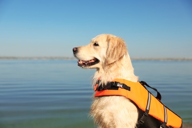 Dog rescuer in life vest near river, closeup