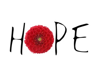 Word HOPE made with letters and beautiful red dahlia flower on white background