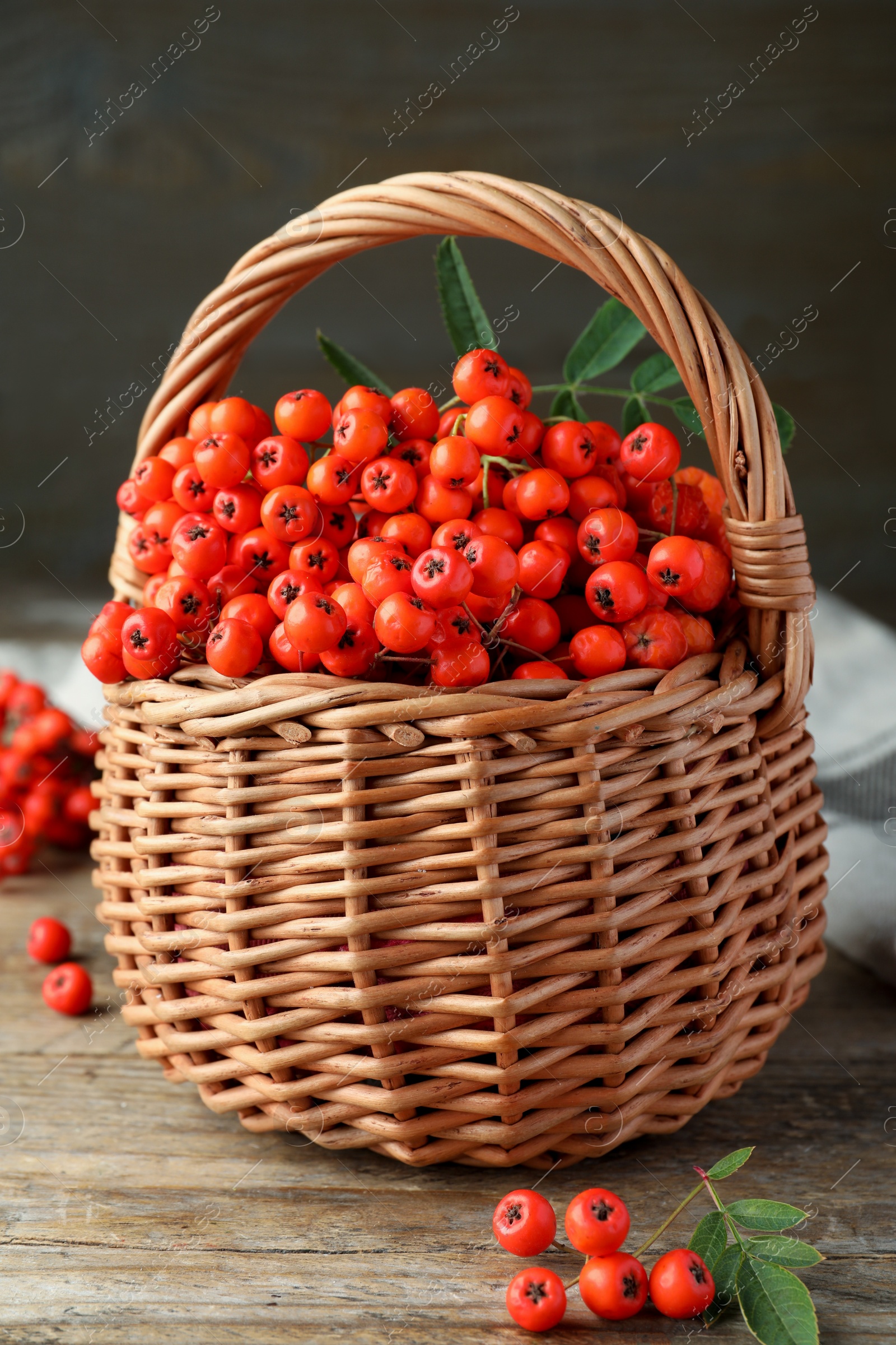 Photo of Fresh ripe rowan berries with green leaves on wooden table