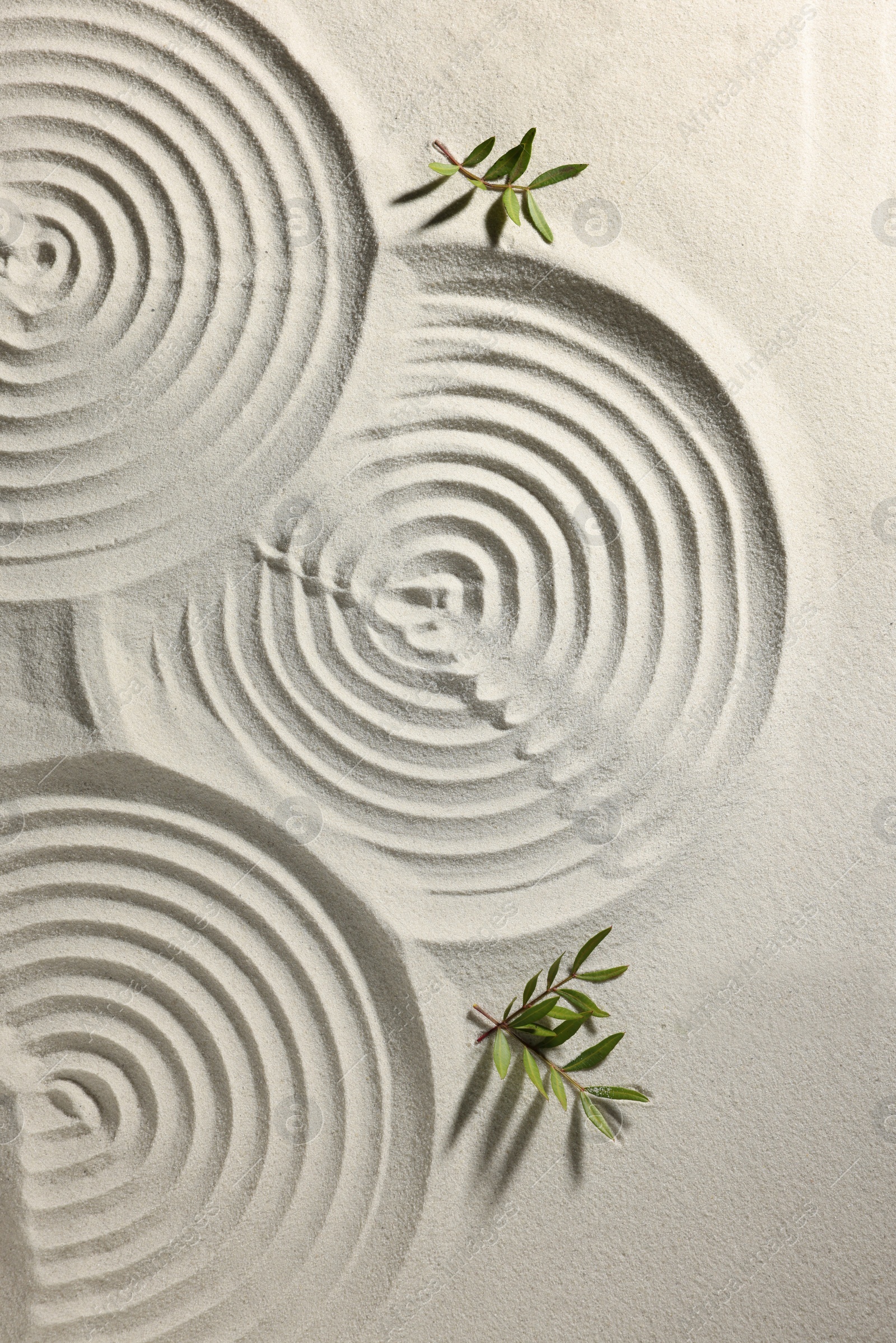 Photo of Beautiful spirals and branches on sand, top view. Zen garden