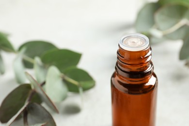 Photo of Bottle of eucalyptus essential oil and leaves on white table, closeup. Space for text