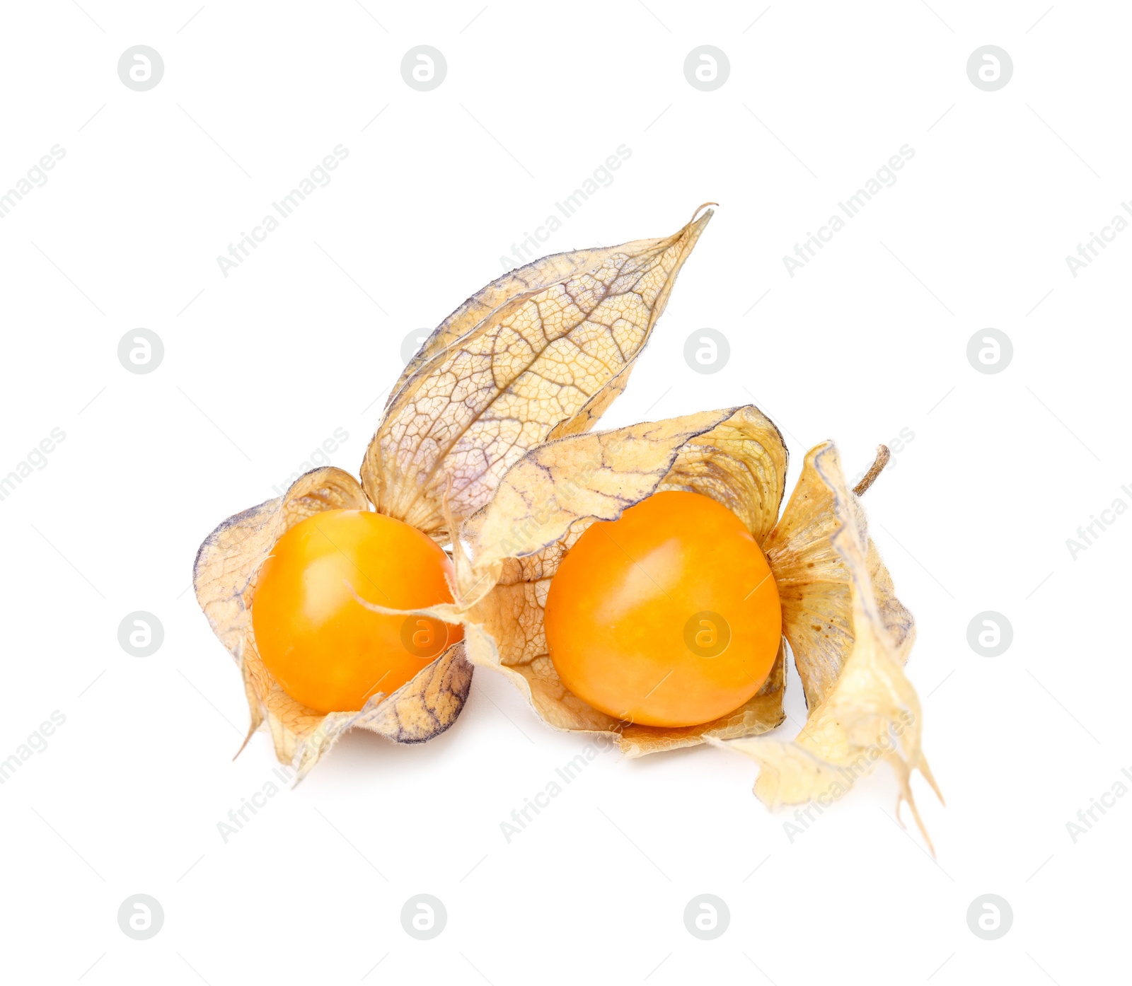 Photo of Ripe physalis fruits with calyxes isolated on white