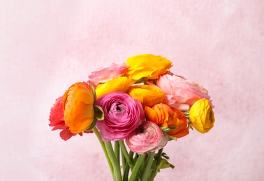 Beautiful fresh ranunculus flowers on color background