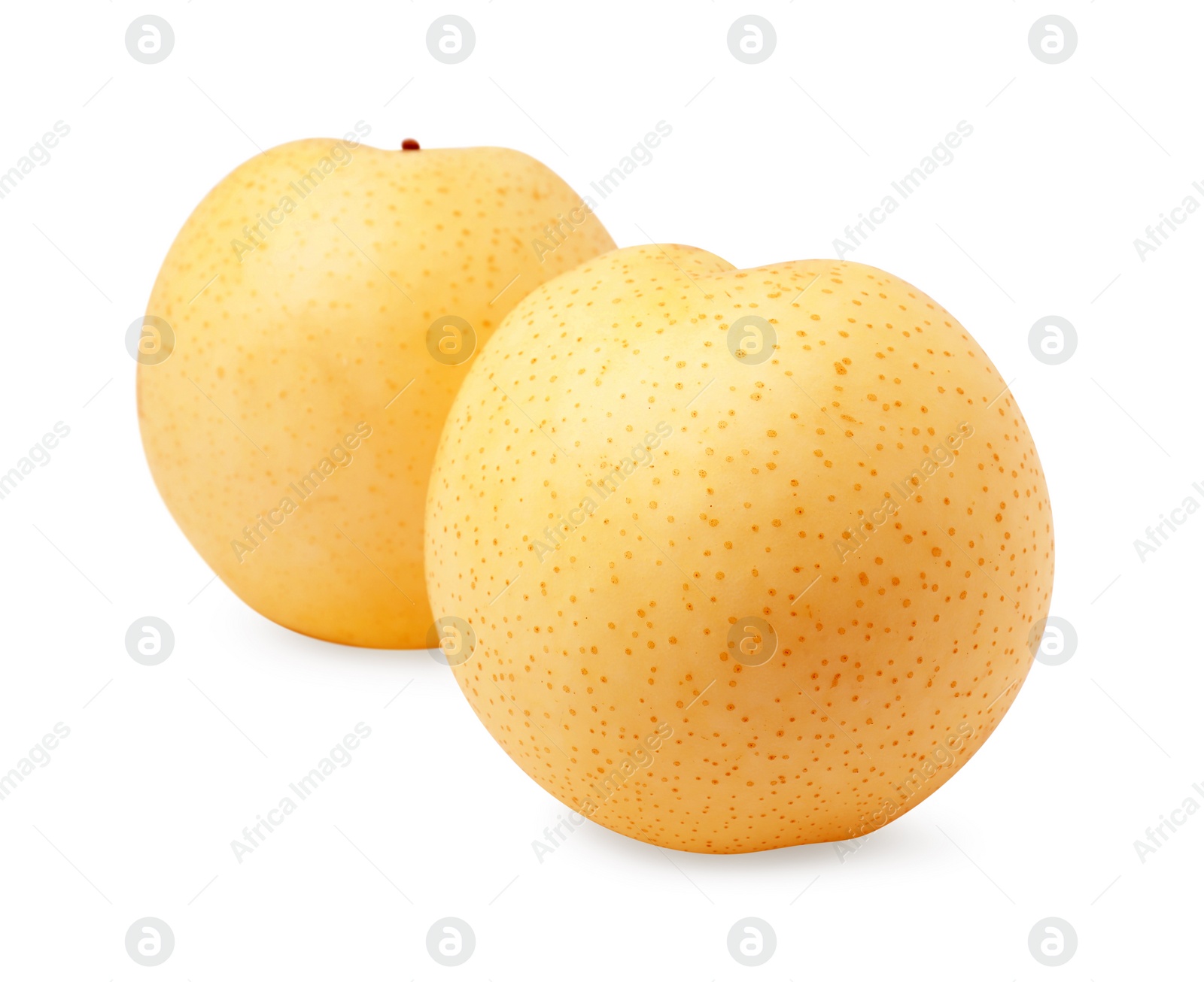 Photo of Two fresh ripe apple pears isolated on white