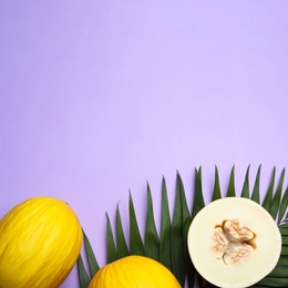 Photo of Composition with ripe tasty melons on violet background, flat lay. Space for text