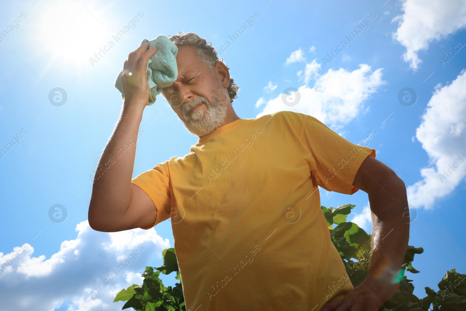 Photo of Senior man with towel suffering from heat stroke outdoors, low angle view