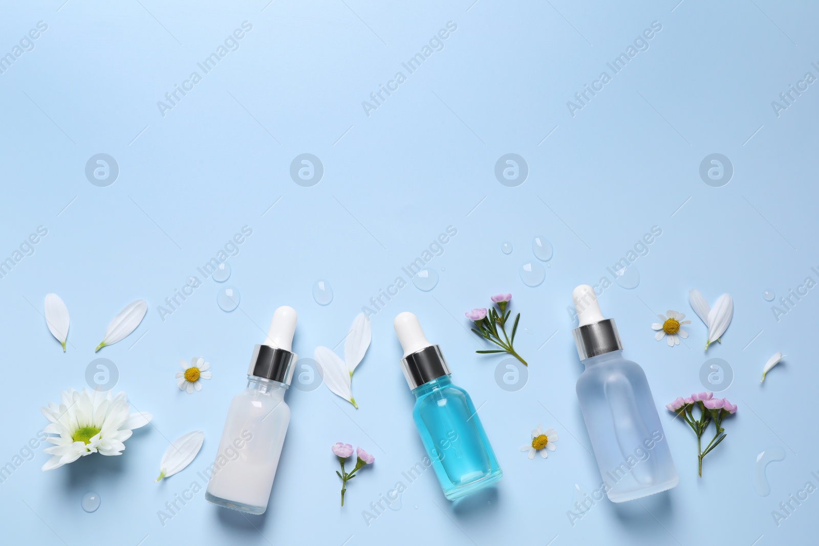 Photo of Bottles of cosmetic serums, flowers and petals on light blue background, flat lay. Space for text