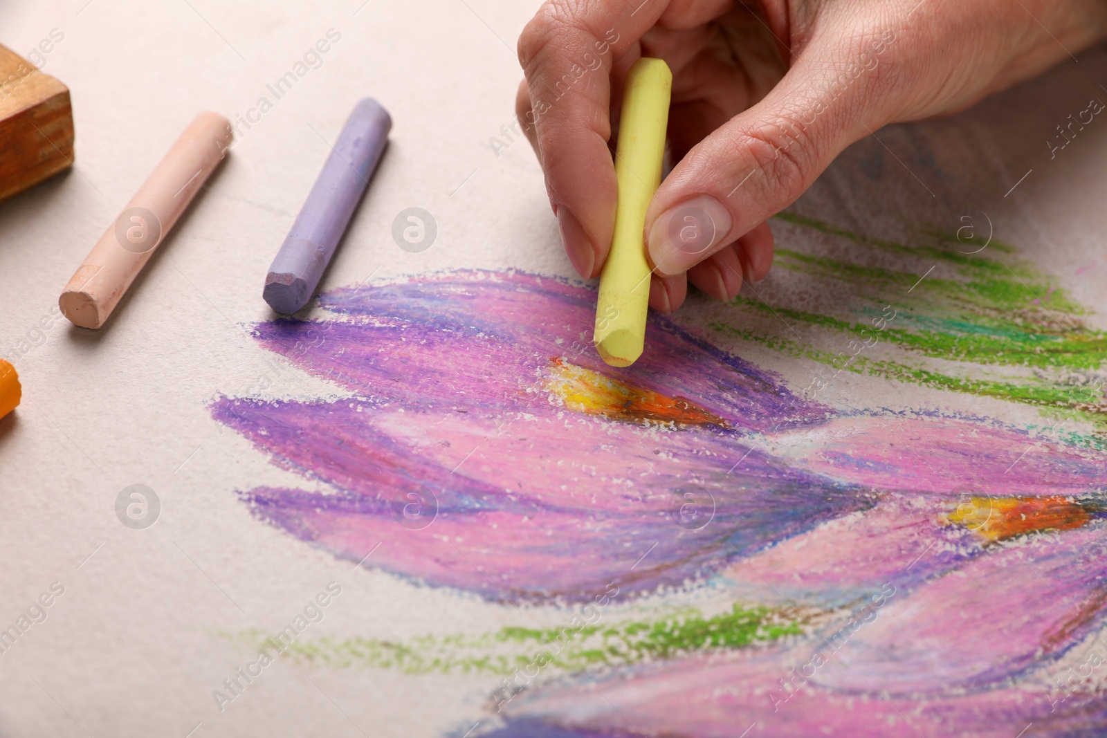 Photo of Woman drawing beautiful crocus flowers with soft pastel, closeup