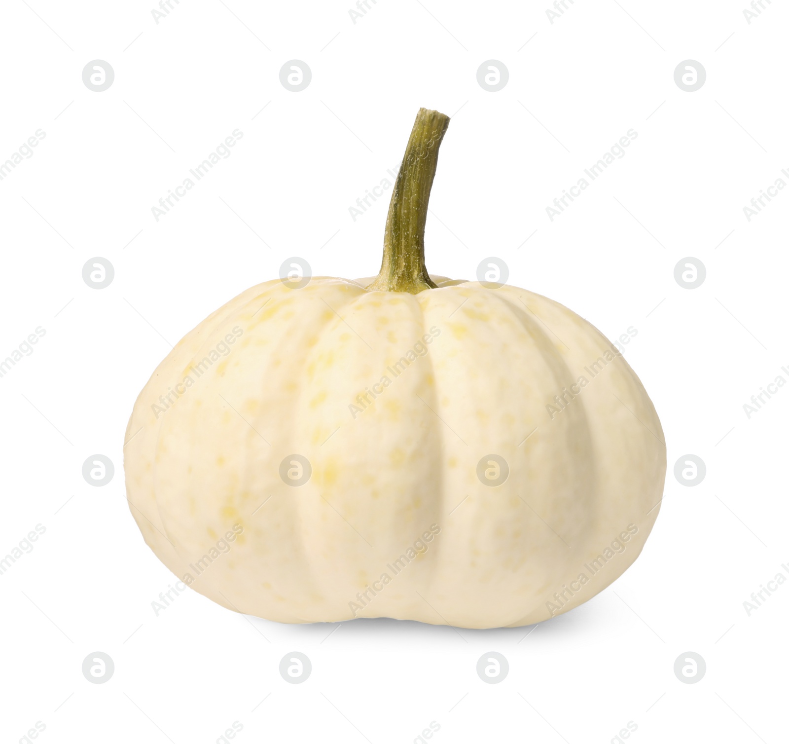 Photo of One fresh ripe pumpkin isolated on white