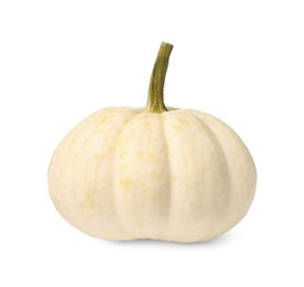 Photo of One fresh ripe pumpkin isolated on white