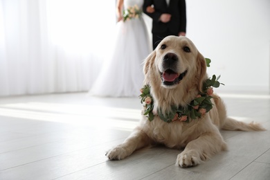 Photo of Adorable golden Retriever wearing wreath made of beautiful flowers on wedding. Space for text