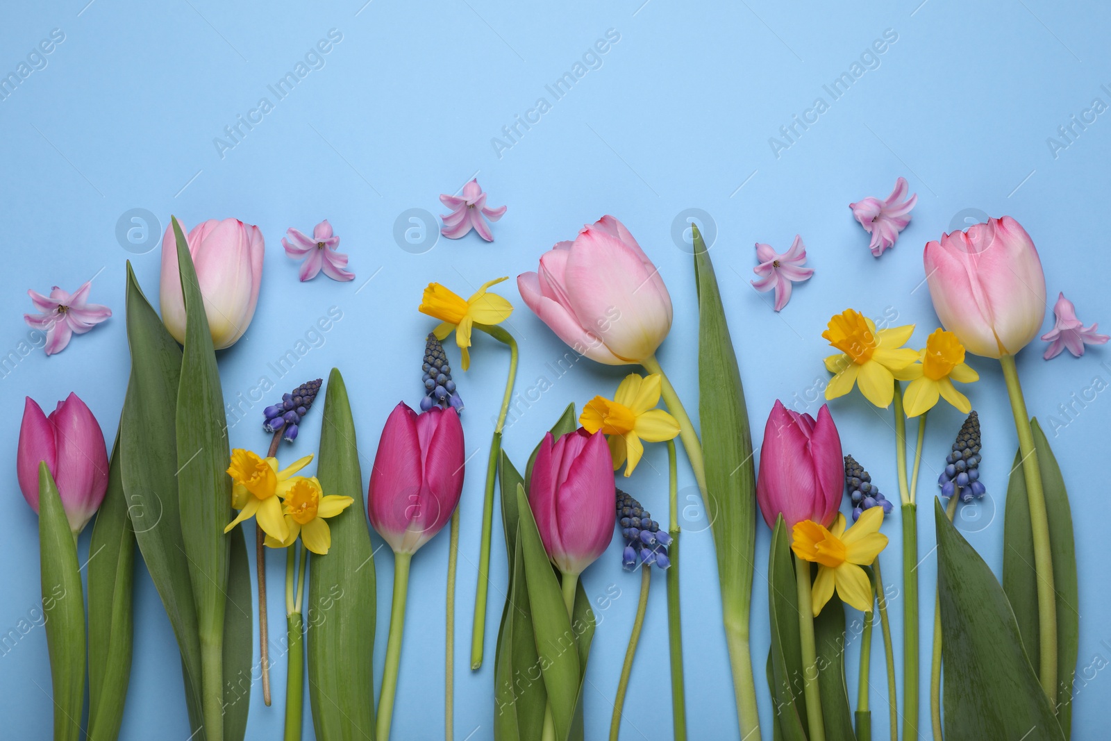 Photo of Beautiful flowers on light blue background, flat lay