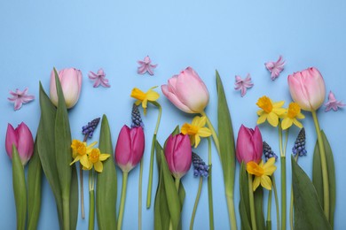 Beautiful flowers on light blue background, flat lay