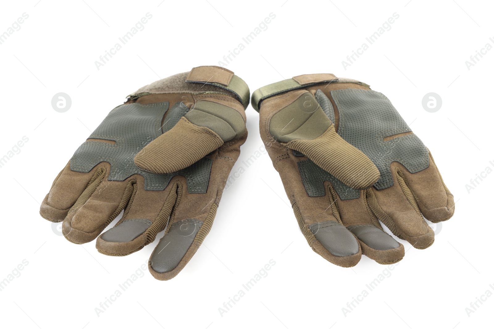 Photo of Tactical gloves on white background. Military training equipment