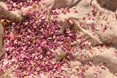 Photo of Scattered dried tea rose flowers and petals on beige fabric, top view