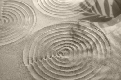 Photo of Beautiful spirals and shadows of leaves on sand. Zen garden