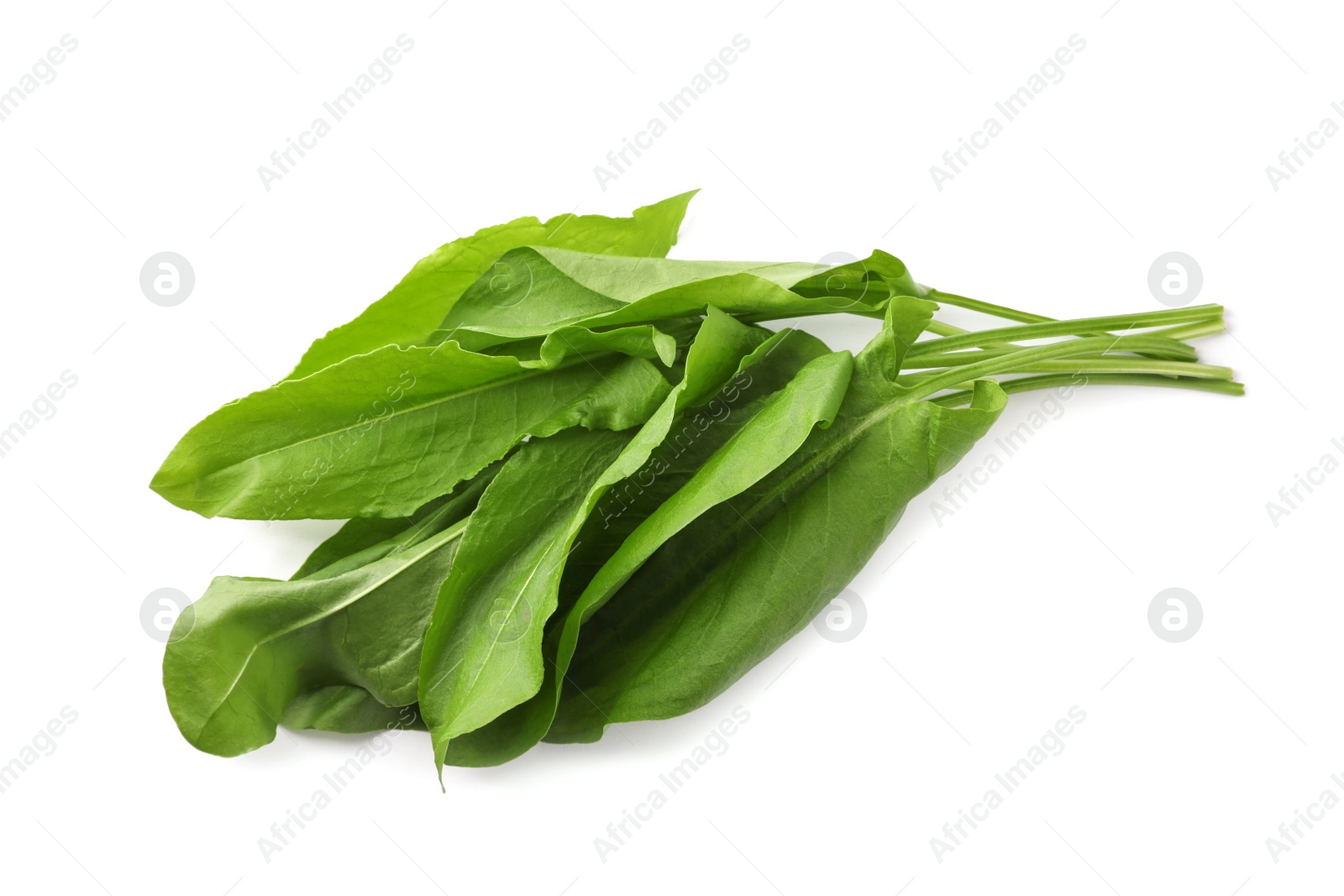 Photo of Bunch of fresh green sorrel leaves on white background