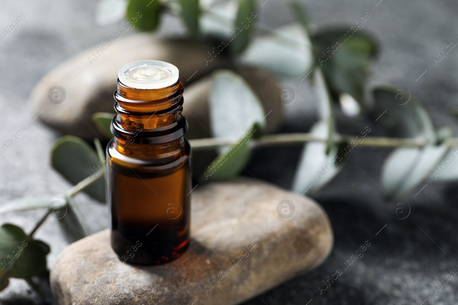 Photo of Bottle of eucalyptus essential oil and plant branch on light grey table, space for text