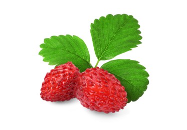 Image of Fresh ripe wild strawberries with green leaves isolated on white