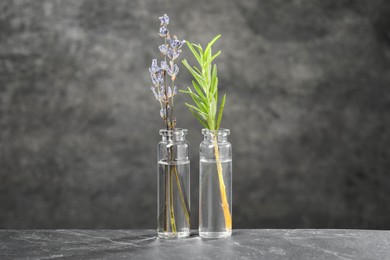 Bottles with essential oils, lavender and rosemary on grey textured table