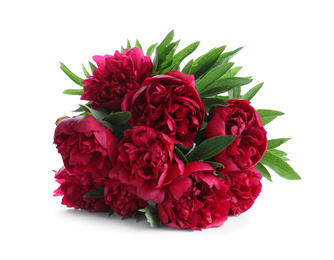 Bouquet of beautiful red peonies isolated on white