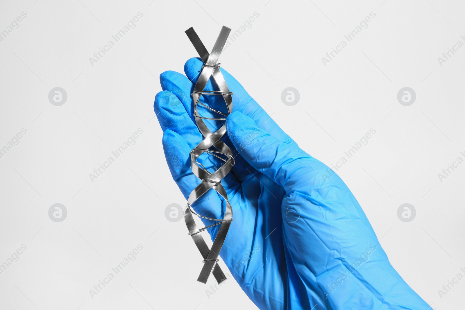 Photo of Scientist with DNA molecular chain model made of metal on white background, closeup