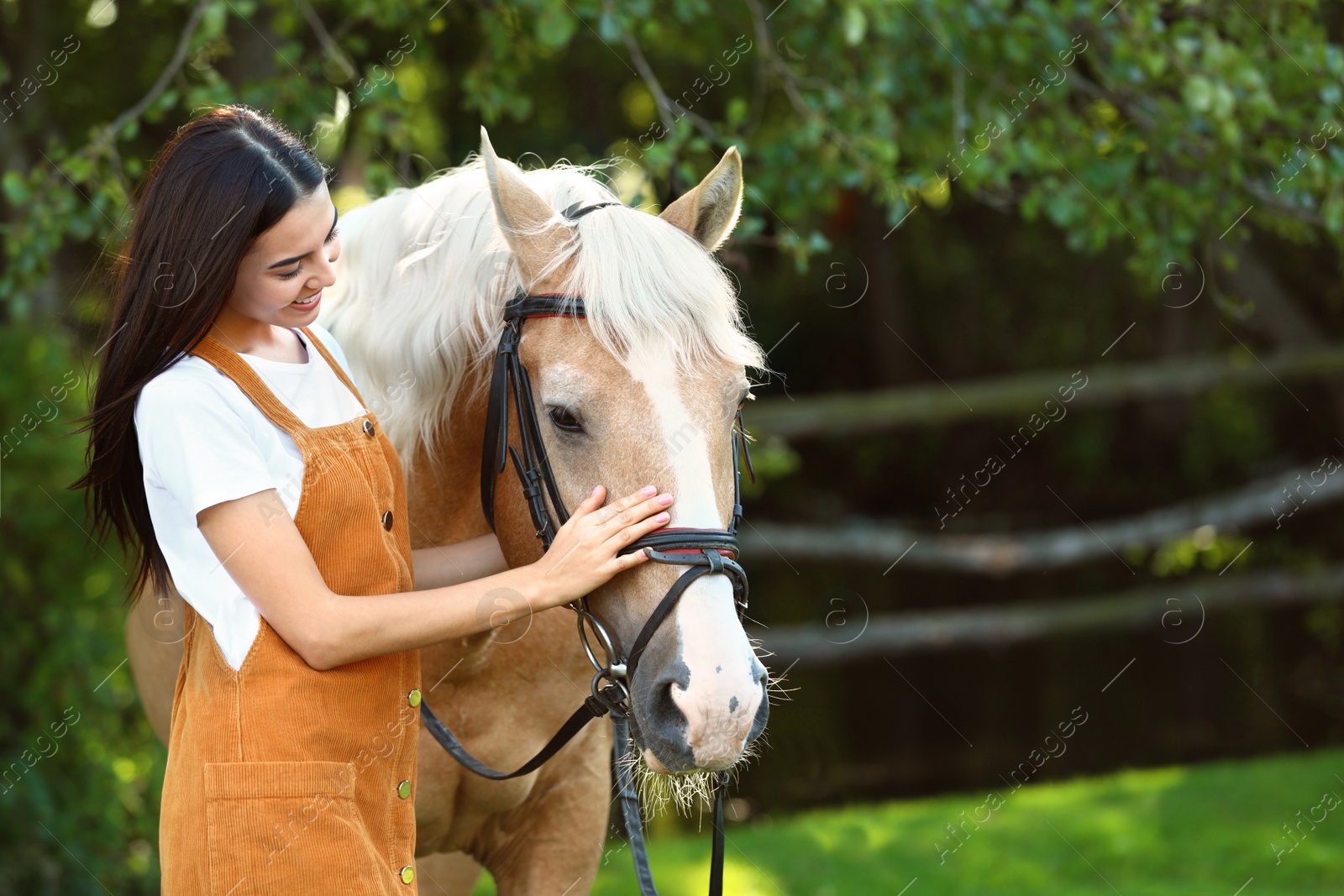 Photo of Palomino horse in bridle and young woman outdoors